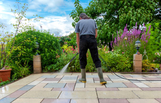 Reliable Bayou Vista, LA  Pressure Washing Services Solutions